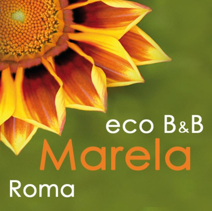 Eco B&B Marela Roma Dış mekan fotoğraf