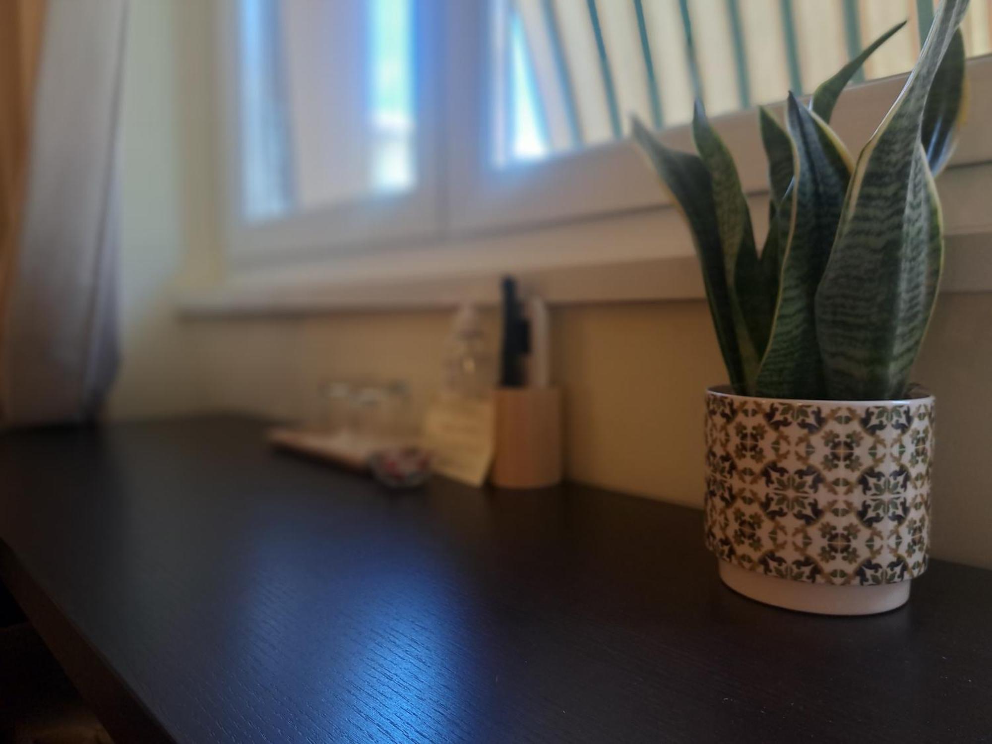 Eco B&B Marela Roma Dış mekan fotoğraf