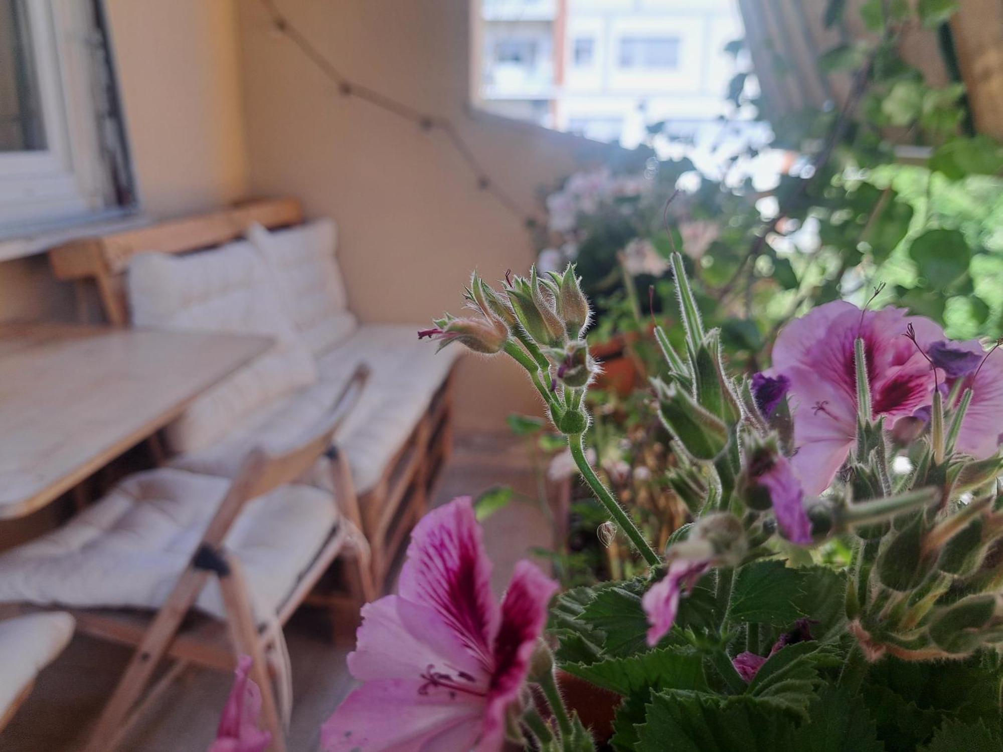 Eco B&B Marela Roma Dış mekan fotoğraf